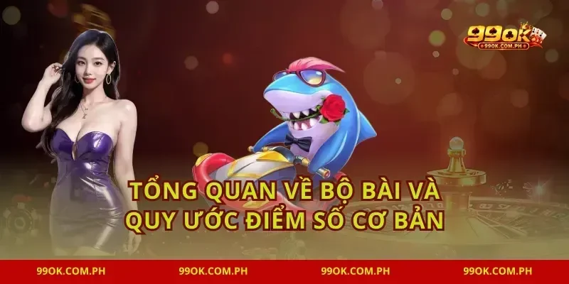 Tổng quan về bộ bài và quy ước điểm số cơ bản