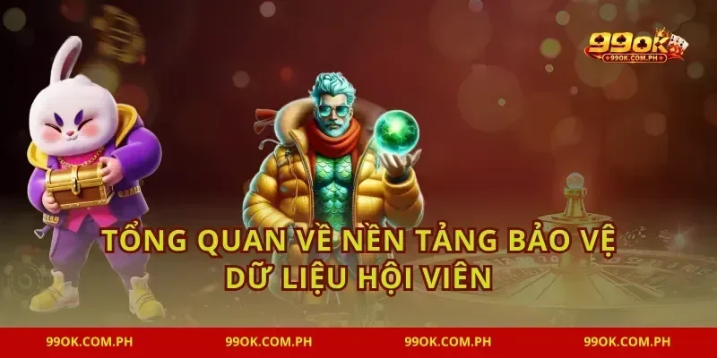 Tổng quan về nền tảng bảo vệ dữ liệu hội viên